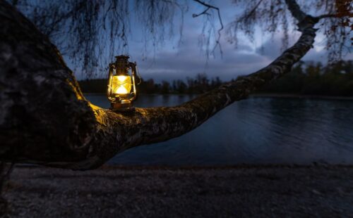 Leuchtende Laterne auf Baumstamm in der Nacht vor einem See.